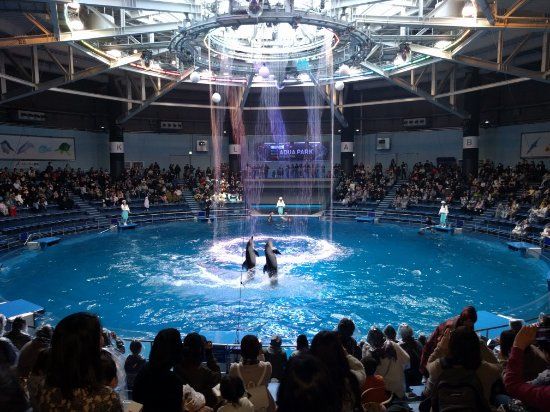 マクセル アクアパーク品川